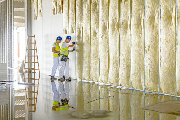 Best Local Insulation Services  in Oxford, PA